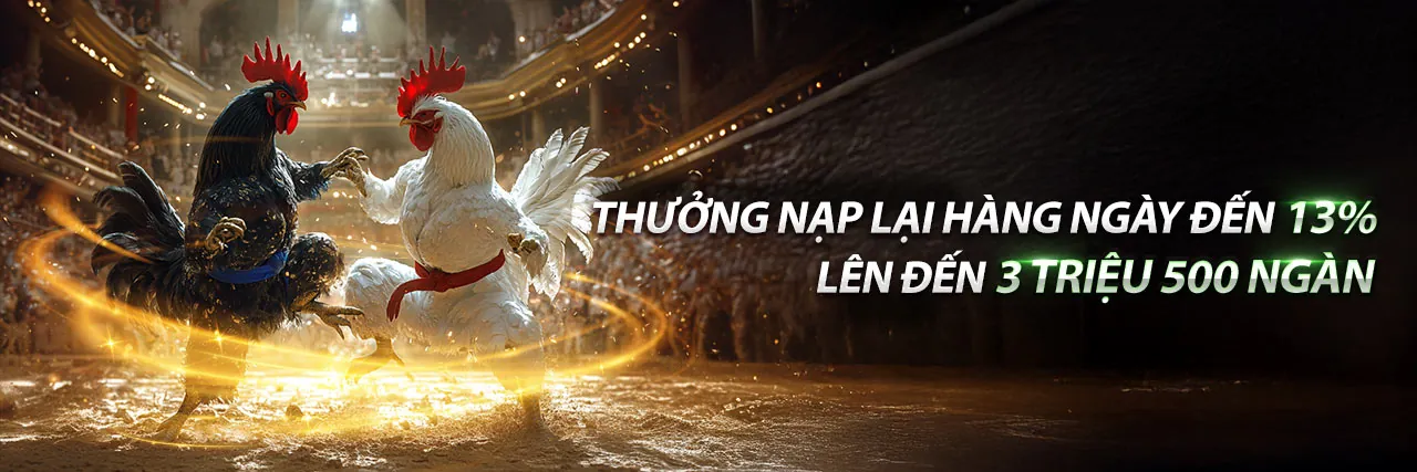 Gà chọi dũng mãnh trên sân đấu vmn win