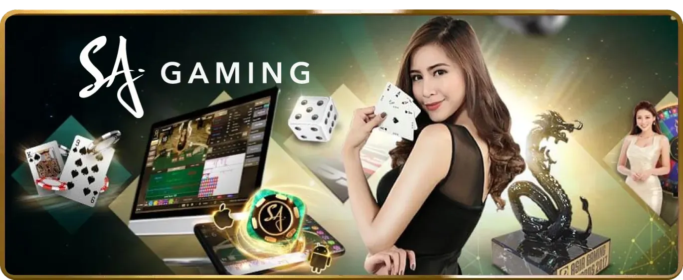 Sơ đồ minh họa các loại cookie và luồng dữ liệu tại vmn win