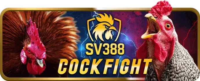 Quản lý tài khoản vmn win cá nhân