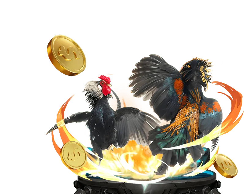 Cá cược Bóng Rổ vmn win